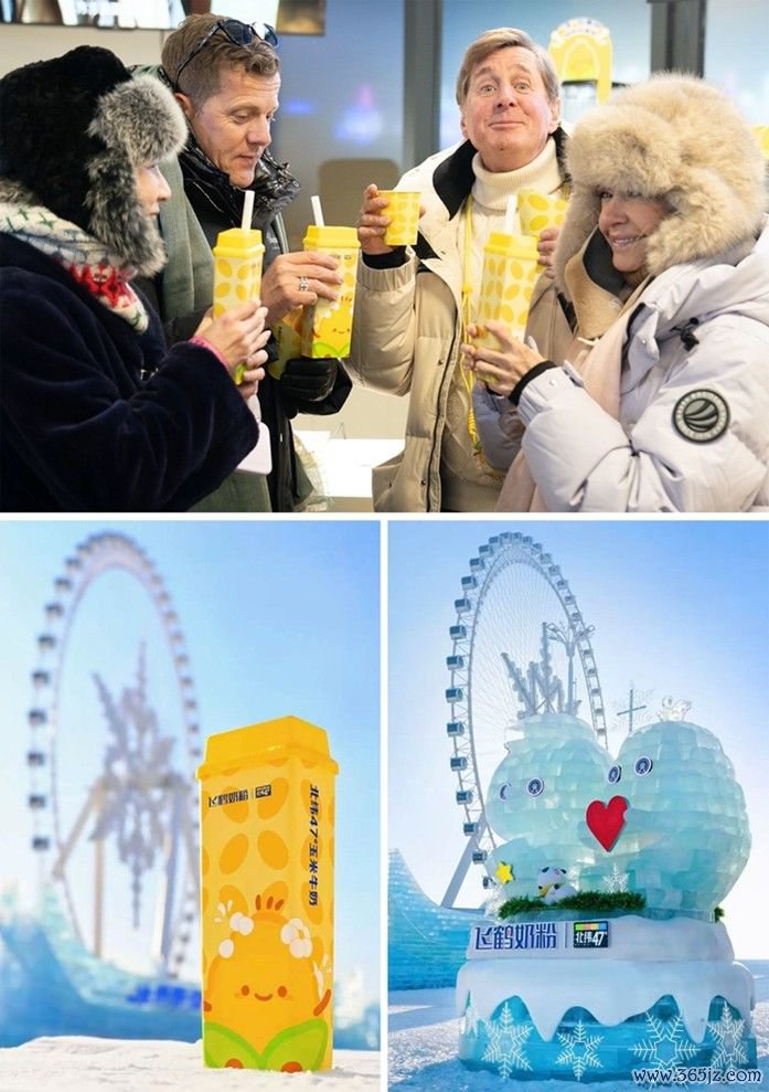 往年飞鹤助力哈尔滨冰雪大世界